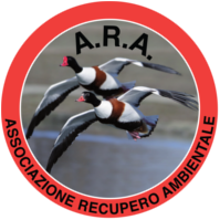 ARA Associazione Logo